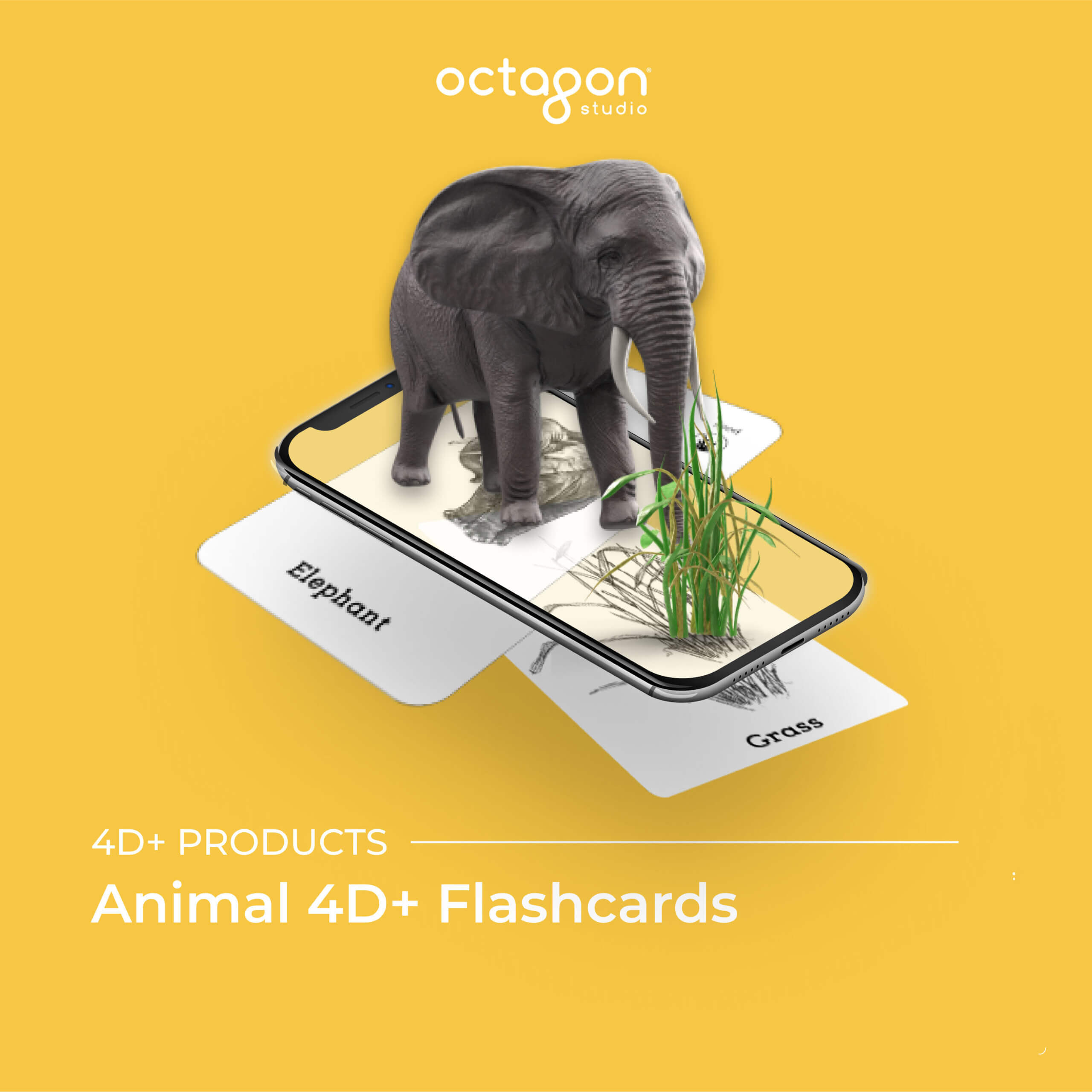 Animal 4D+ by Octagon Studio™ | GummyBox Singapore